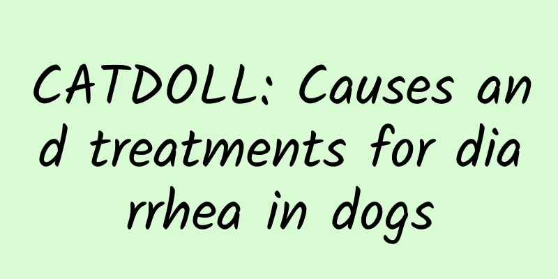 CATDOLL: Causes and treatments for diarrhea in dogs