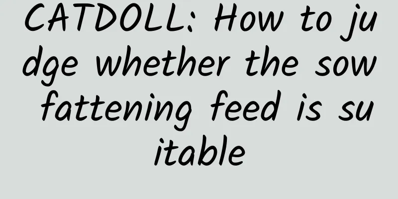 CATDOLL: How to judge whether the sow fattening feed is suitable