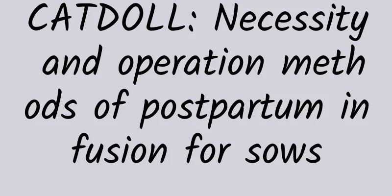 CATDOLL: Necessity and operation methods of postpartum infusion for sows