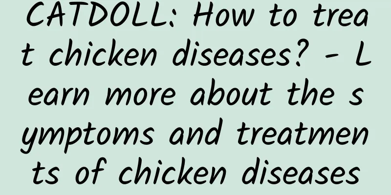 CATDOLL: How to treat chicken diseases? - Learn more about the symptoms and treatments of chicken diseases