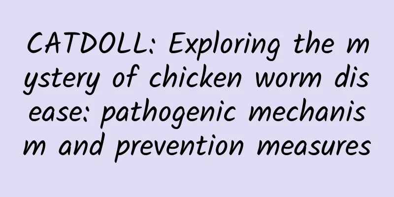 CATDOLL: Exploring the mystery of chicken worm disease: pathogenic mechanism and prevention measures