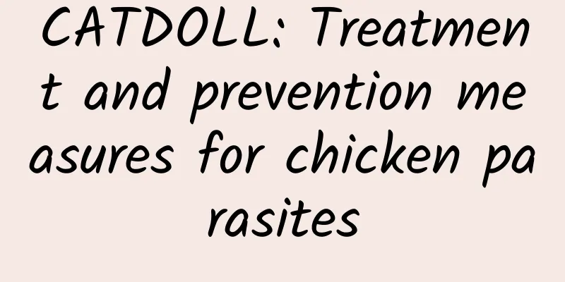 CATDOLL: Treatment and prevention measures for chicken parasites