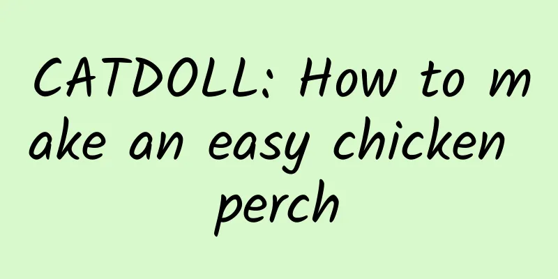 CATDOLL: How to make an easy chicken perch