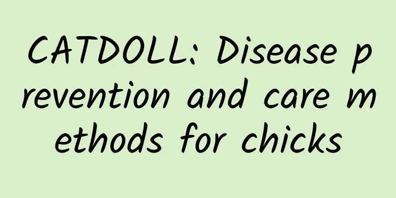 CATDOLL: Disease prevention and care methods for chicks
