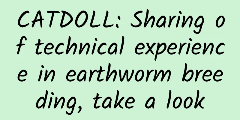 CATDOLL: Sharing of technical experience in earthworm breeding, take a look