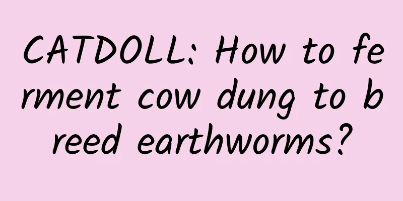 CATDOLL: How to ferment cow dung to breed earthworms?
