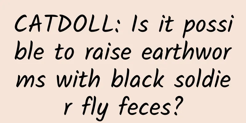 CATDOLL: Is it possible to raise earthworms with black soldier fly feces?