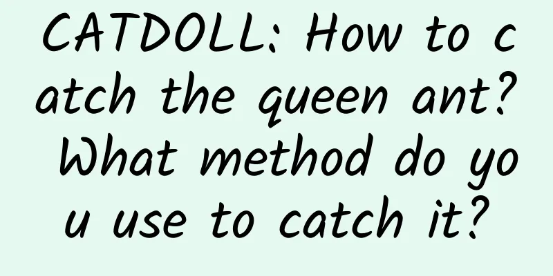 CATDOLL: How to catch the queen ant? What method do you use to catch it?