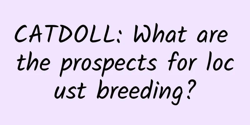 CATDOLL: What are the prospects for locust breeding?