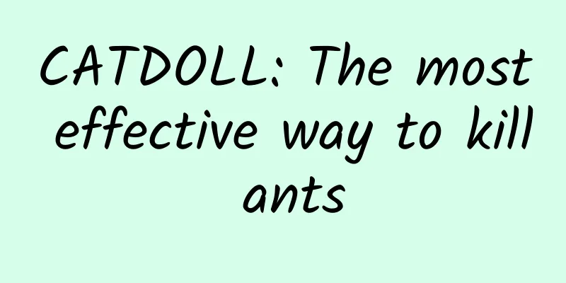 CATDOLL: The most effective way to kill ants