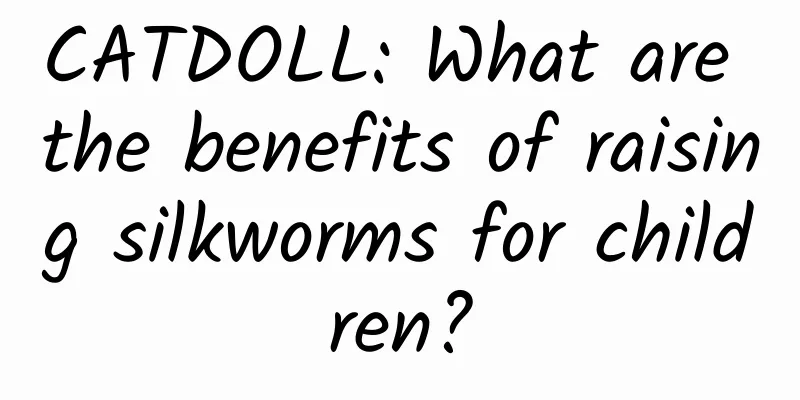 CATDOLL: What are the benefits of raising silkworms for children?