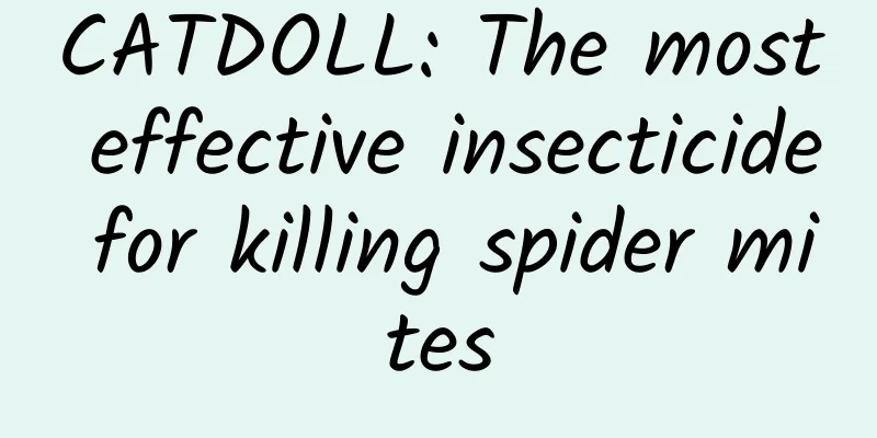 CATDOLL: The most effective insecticide for killing spider mites