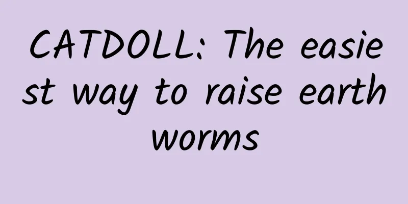 CATDOLL: The easiest way to raise earthworms