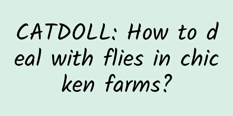 CATDOLL: How to deal with flies in chicken farms?