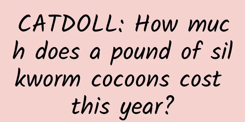 CATDOLL: How much does a pound of silkworm cocoons cost this year?