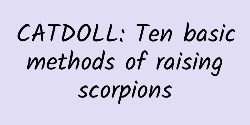 CATDOLL: Ten basic methods of raising scorpions
