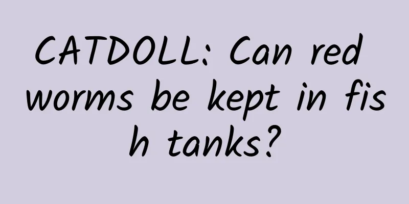 CATDOLL: Can red worms be kept in fish tanks?