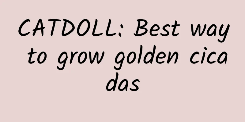 CATDOLL: Best way to grow golden cicadas