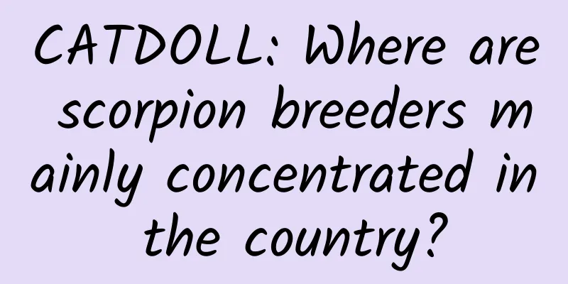 CATDOLL: Where are scorpion breeders mainly concentrated in the country?