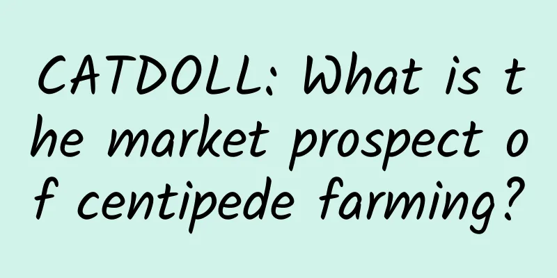 CATDOLL: What is the market prospect of centipede farming?