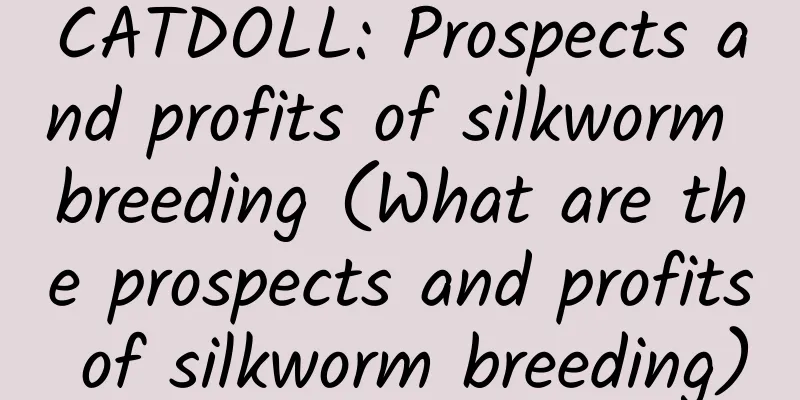 CATDOLL: Prospects and profits of silkworm breeding (What are the prospects and profits of silkworm breeding)