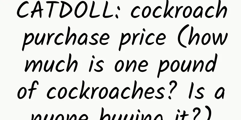 CATDOLL: cockroach purchase price (how much is one pound of cockroaches? Is anyone buying it?)