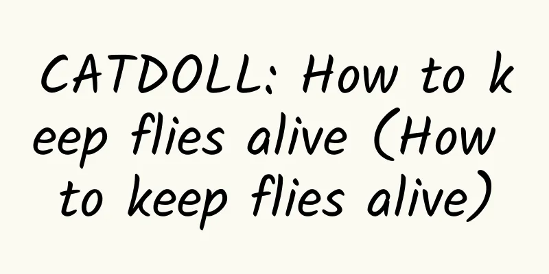 CATDOLL: How to keep flies alive (How to keep flies alive)