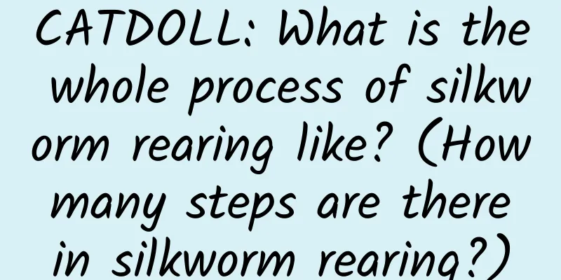 CATDOLL: What is the whole process of silkworm rearing like? (How many steps are there in silkworm rearing?)