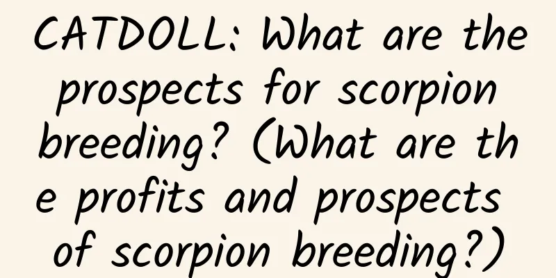 CATDOLL: What are the prospects for scorpion breeding? (What are the profits and prospects of scorpion breeding?)
