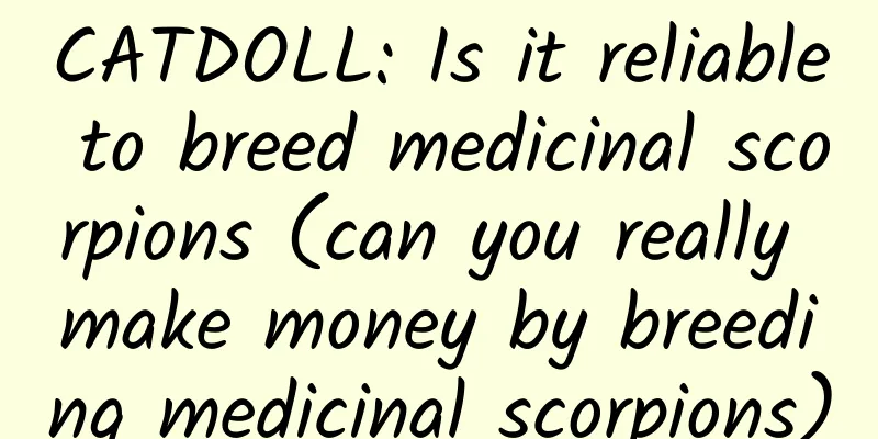 CATDOLL: Is it reliable to breed medicinal scorpions (can you really make money by breeding medicinal scorpions)