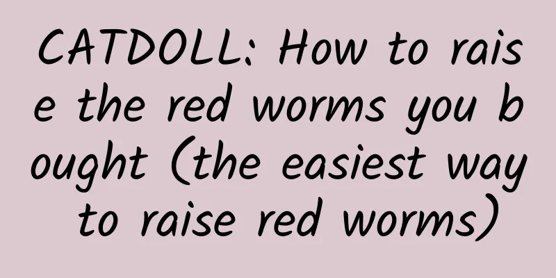CATDOLL: How to raise the red worms you bought (the easiest way to raise red worms)