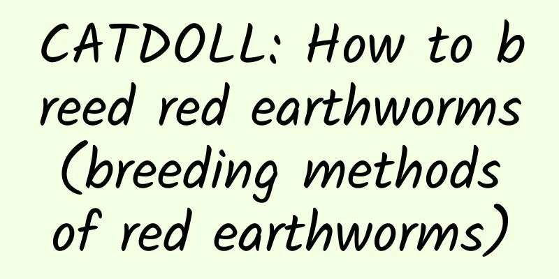 CATDOLL: How to breed red earthworms (breeding methods of red earthworms)