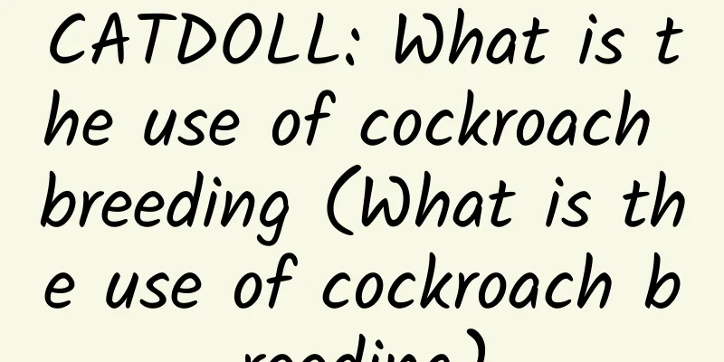 CATDOLL: What is the use of cockroach breeding (What is the use of cockroach breeding)