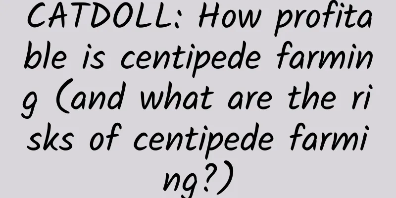 CATDOLL: How profitable is centipede farming (and what are the risks of centipede farming?)