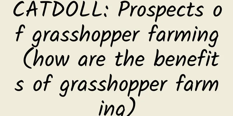CATDOLL: Prospects of grasshopper farming (how are the benefits of grasshopper farming)