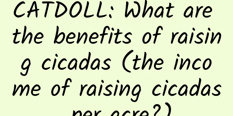 CATDOLL: What are the benefits of raising cicadas (the income of raising cicadas per acre?)