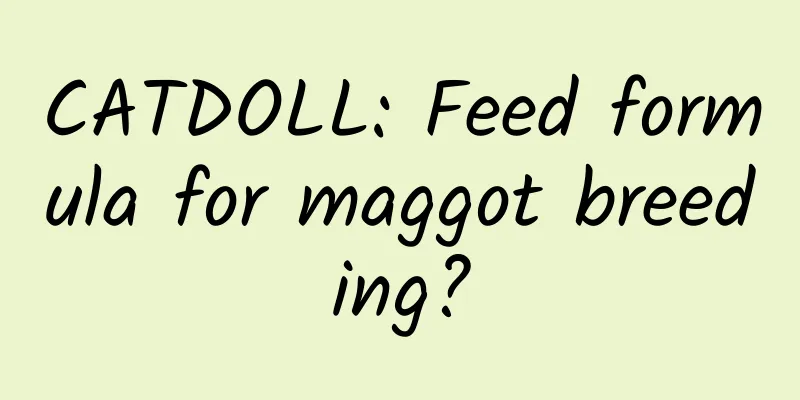 CATDOLL: Feed formula for maggot breeding?