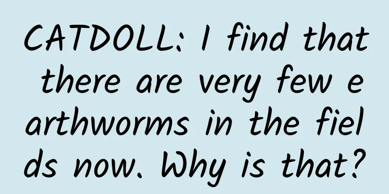 CATDOLL: I find that there are very few earthworms in the fields now. Why is that?
