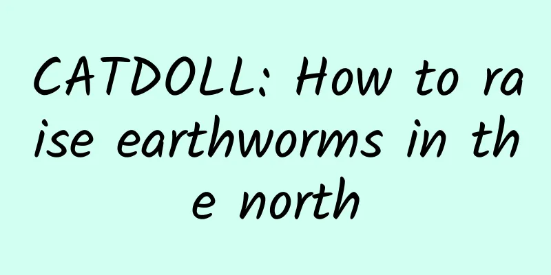 CATDOLL: How to raise earthworms in the north