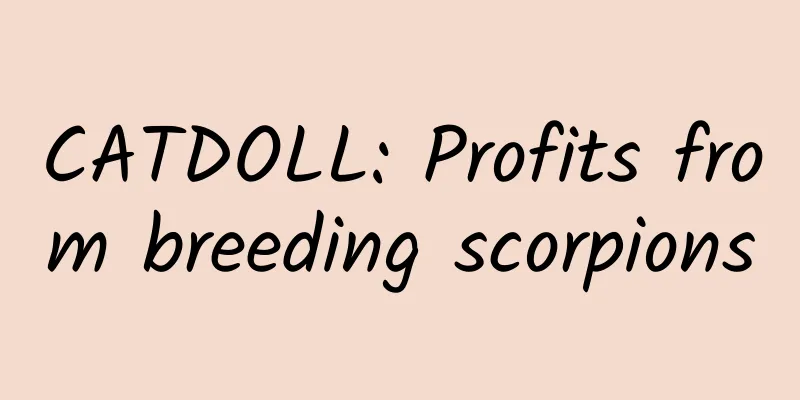 CATDOLL: Profits from breeding scorpions