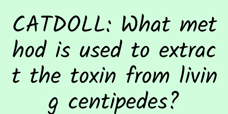 CATDOLL: What method is used to extract the toxin from living centipedes?