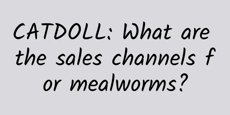 CATDOLL: What are the sales channels for mealworms?
