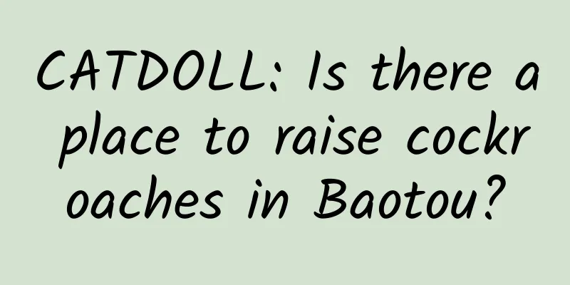 CATDOLL: Is there a place to raise cockroaches in Baotou?