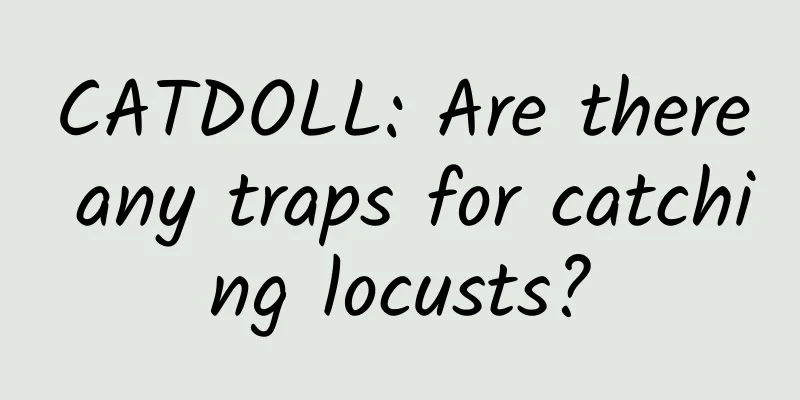 CATDOLL: Are there any traps for catching locusts?