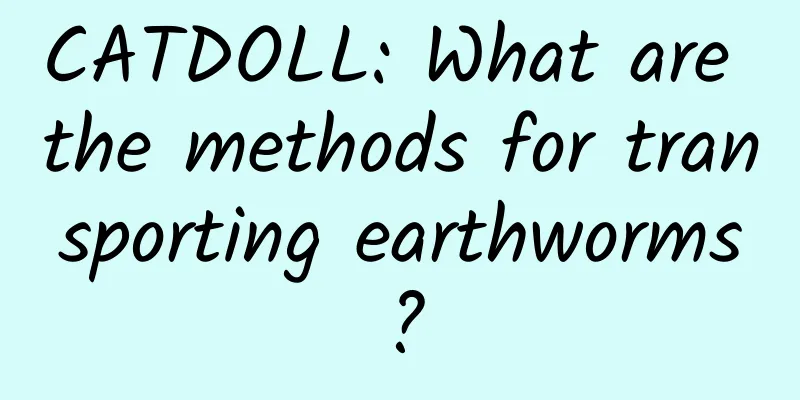 CATDOLL: What are the methods for transporting earthworms?