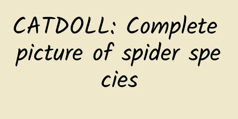 CATDOLL: Complete picture of spider species