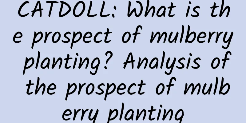 CATDOLL: What is the prospect of mulberry planting? Analysis of the prospect of mulberry planting