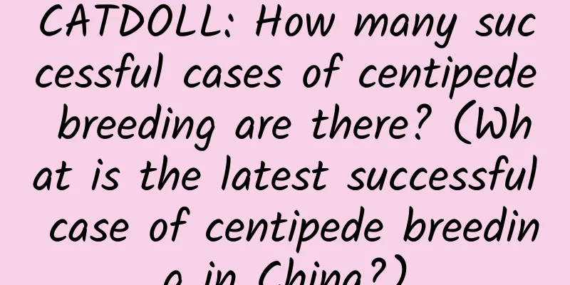 CATDOLL: How many successful cases of centipede breeding are there? (What is the latest successful case of centipede breeding in China?)