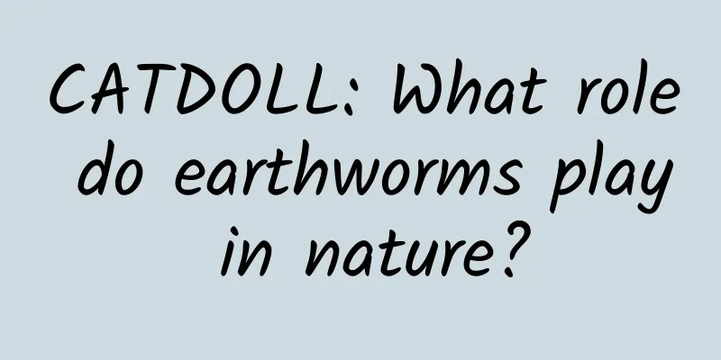 CATDOLL: What role do earthworms play in nature?