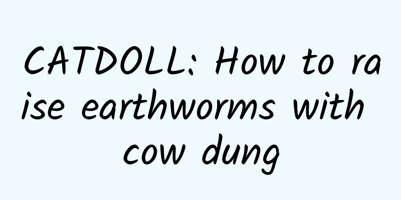 CATDOLL: How to raise earthworms with cow dung